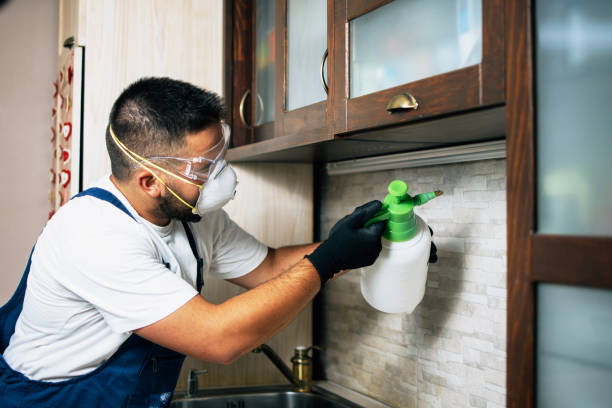 Best Best Pest Control Companies  in Union City, GA