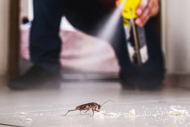 Union City, GA Pest Control Company