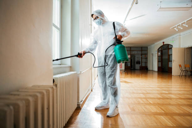 Best Affordable Pest Control Services  in Union City, GA